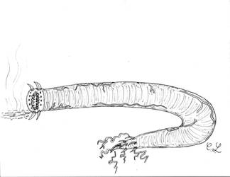 Mongolian Death Worm by SeaSerpentine