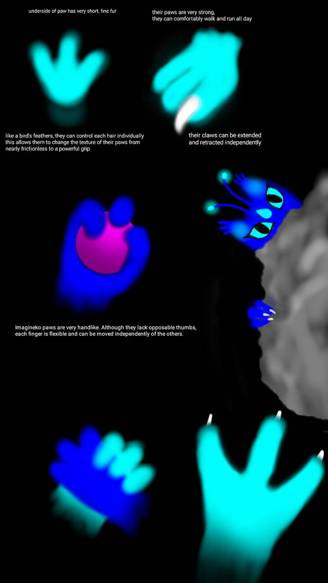 Imagineko Paws by MajikkanBeingsUnite Imagineko Paws by MajikkanBeingsUnite