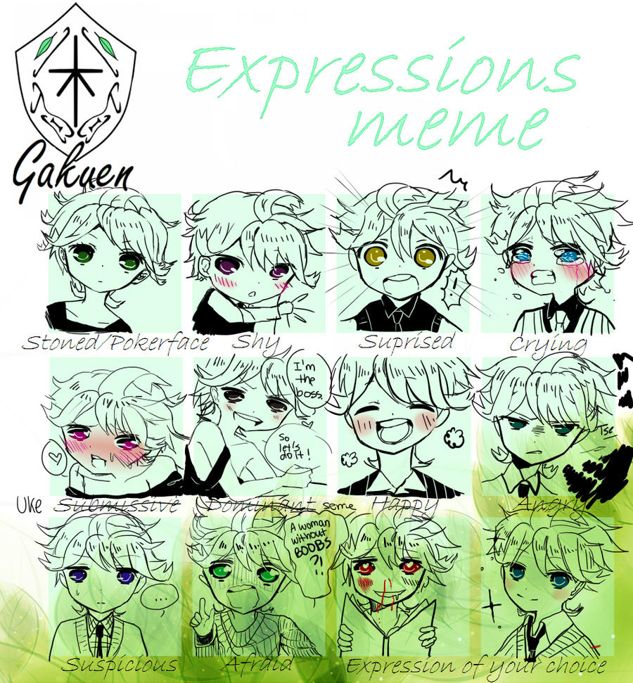 Ki-Gakuen Expression meme