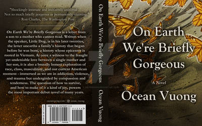 ON EARTH WE'RE BRIEFLY GORGEOUS BOOK COVER