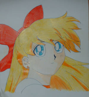 sailor venus