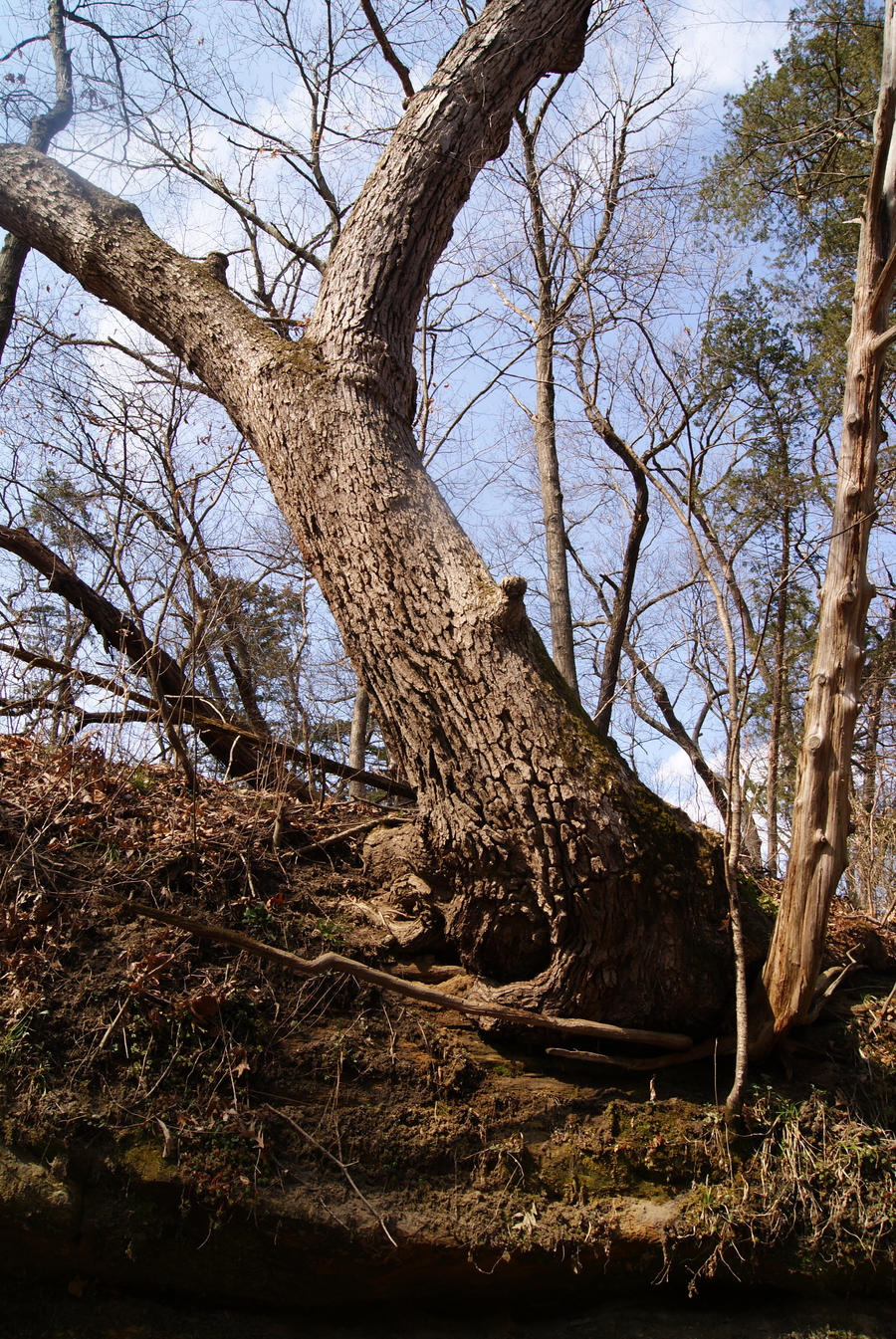 starved rock 4