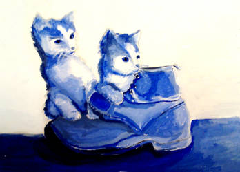 Kittens in Blue