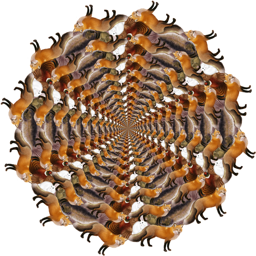 Wildlife Vortex by NoelleMBrooks on DeviantArt