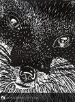 Furred by NoelleMBrooks Furred by NoelleMBrooks