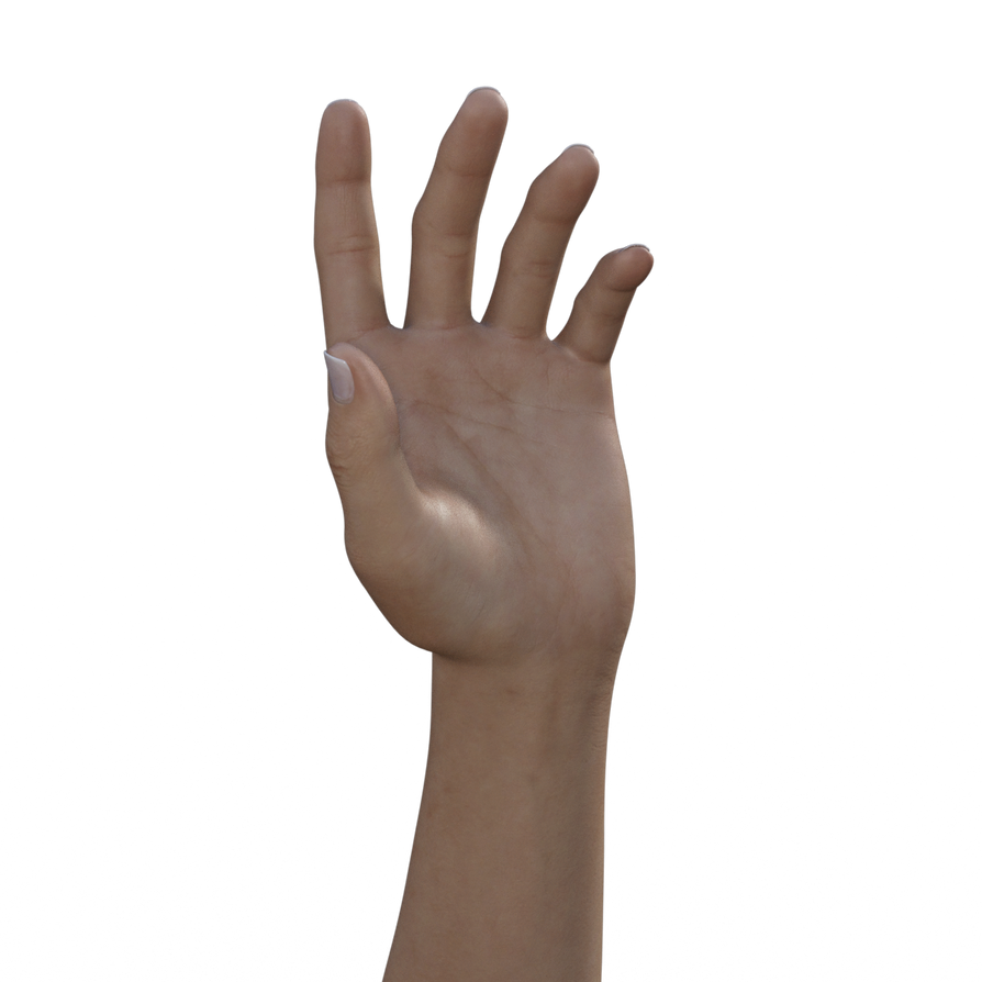 Hand Pose - Reaching by MangledPrey on DeviantArt