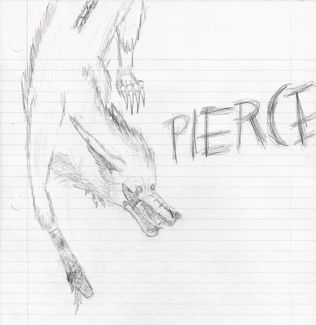 Pierce Sketch