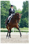 AMP dressage final 1 by paula2206-photo