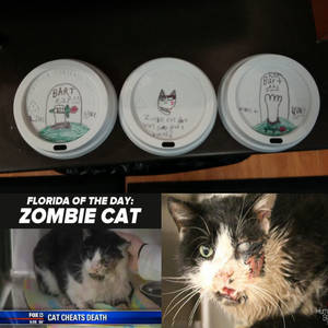 Zombie Cat Tribute