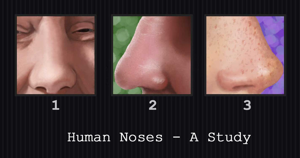 Human Noses - A Study