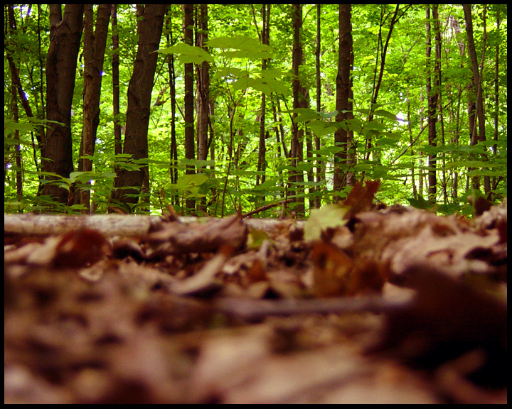 ALUM-DOF by bent-perspectives