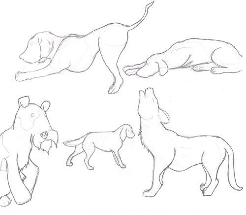 Dog Pose Reference by LessThanThree123 on DeviantArt