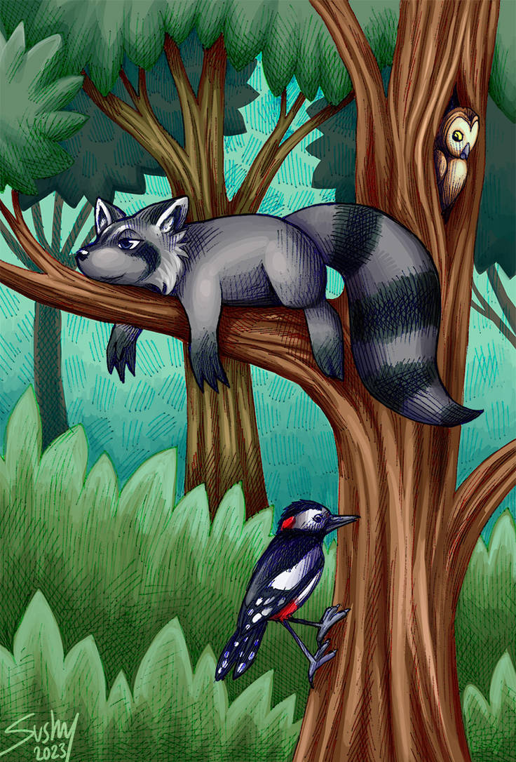 Deviantart Racoon lazy raccoon by sushy00 on DeviantArt