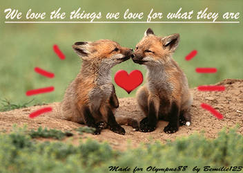 a foxes love...