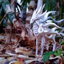 Forest Guardian