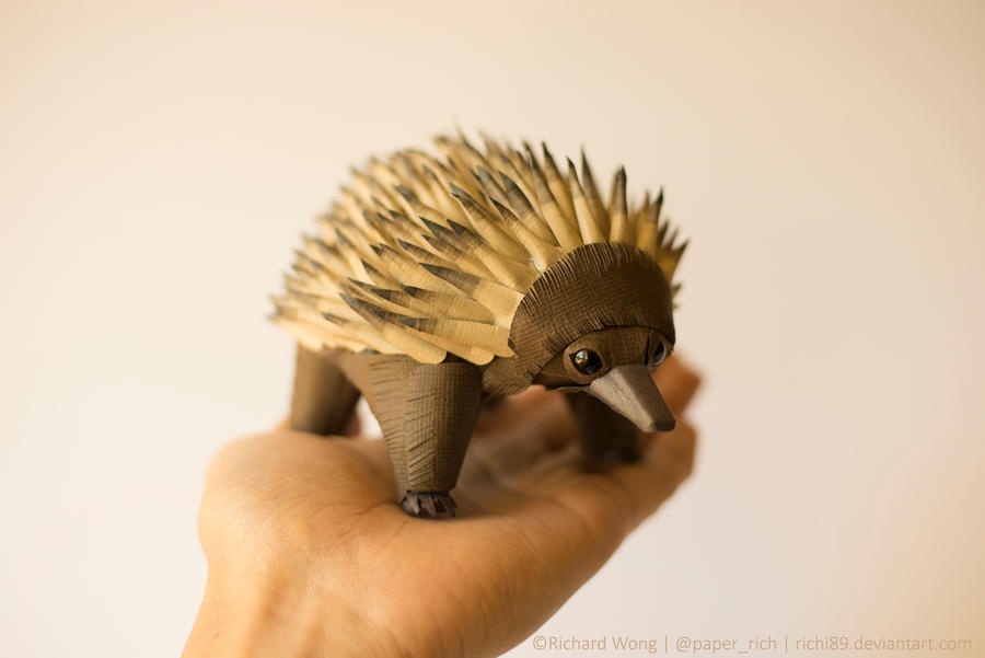Paper Echidna by Richi89