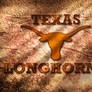 Texas Longhorns