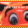 cool cat stamp