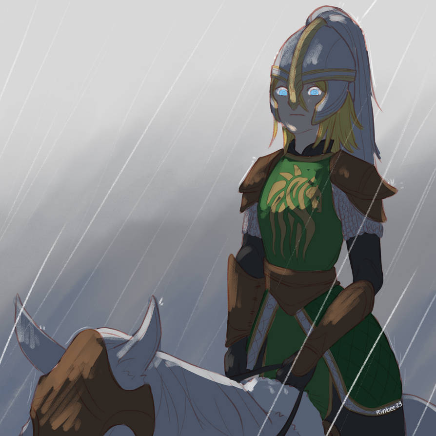 rider of rohan rin a.k.a. rohirRin by rinbeeb on DeviantArt