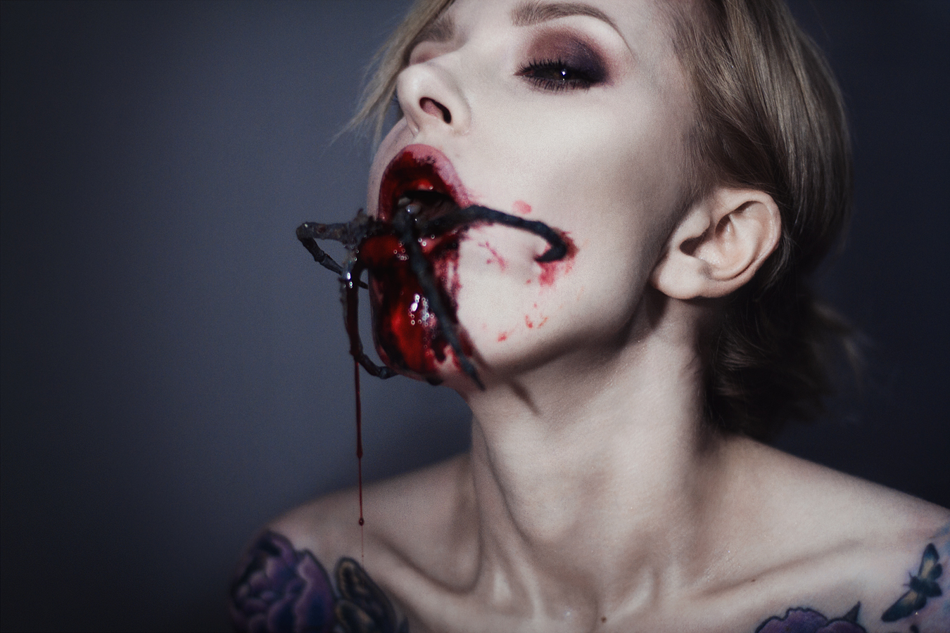 Arachnoideus rima oris