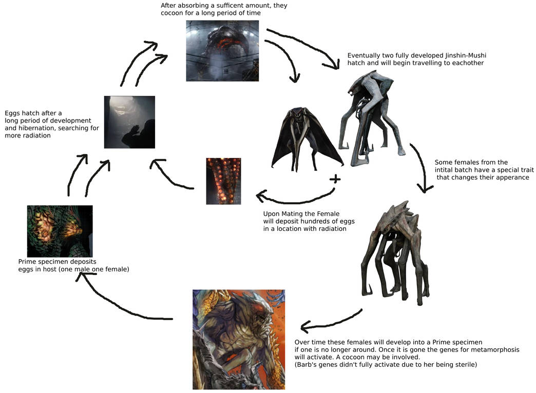 All Muto Types Muto Life cycle by SuperKaijuHorrorGal on DeviantArt