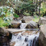 Stream with a mini-waterfall