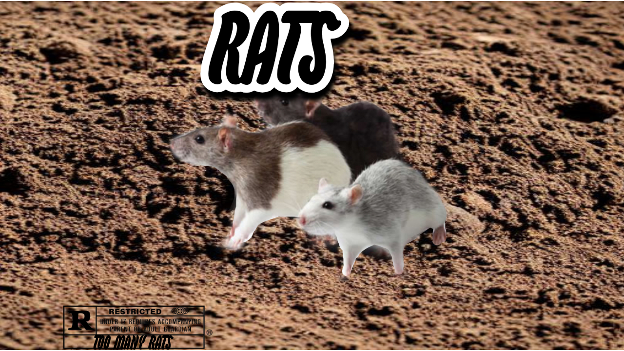 30 Rats Rated R for Rats by mylittleponyg5fan on DeviantArt