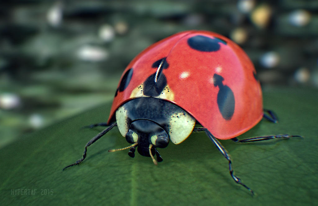 Gentleman Bug Gentlemanbug by Hypertaf-Tafkah on DeviantArt