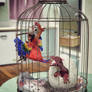 Polly Want Out!
