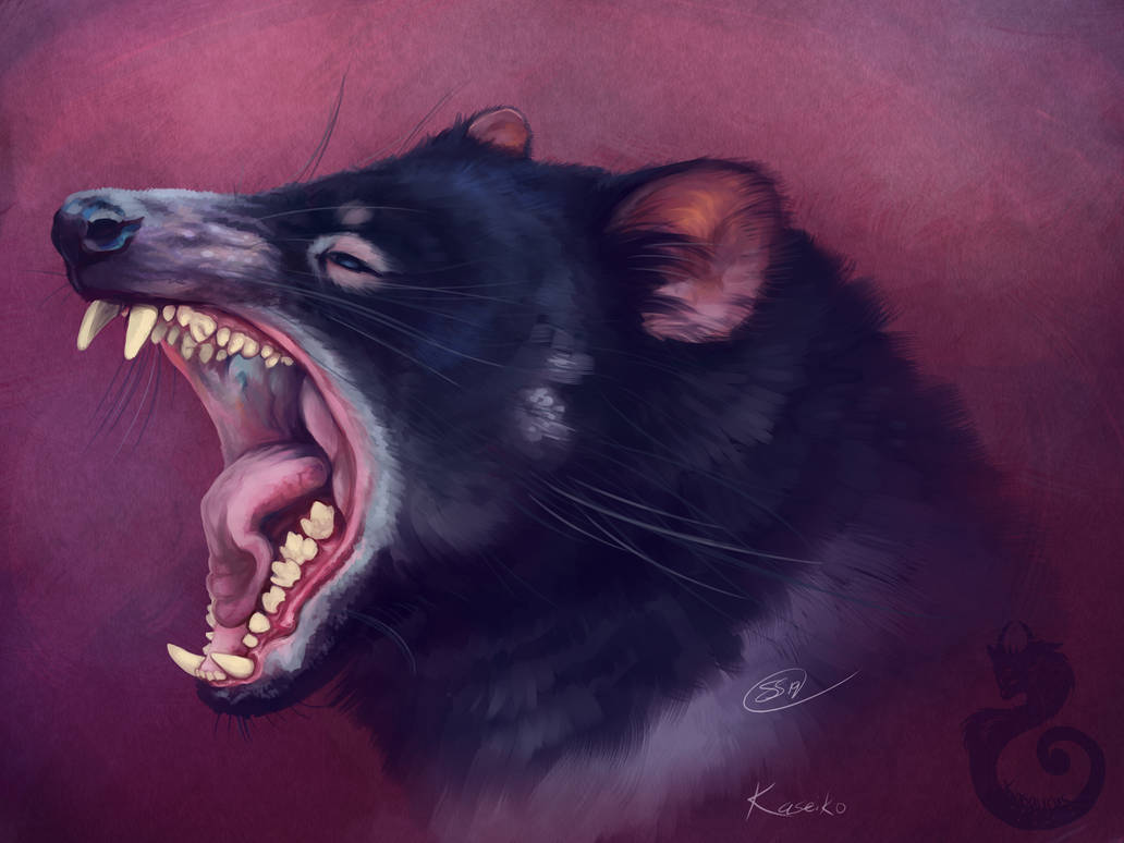 Tasmanian Devil