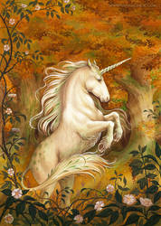 The Legend of the First Unicorn, cover art