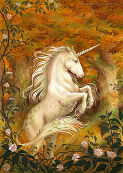 The Legend of the First Unicorn, cover art