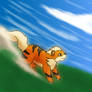 Growlithe attacked