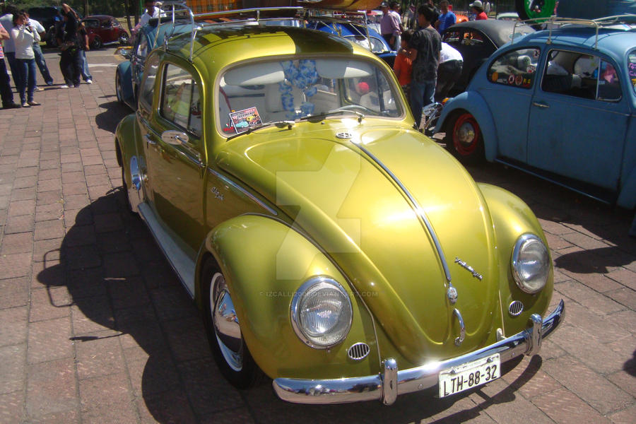 Volks and Classic 2011 40