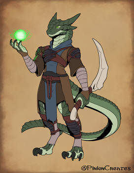 Dragonborn Druid