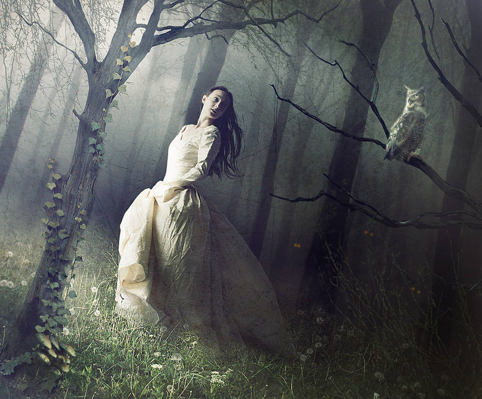 In The Woods by imagase