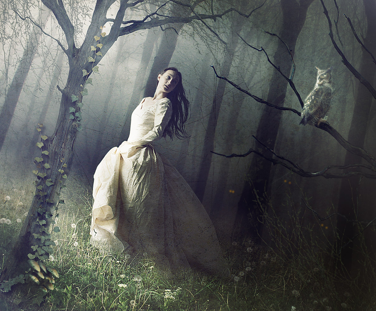 In The Woods by imagase