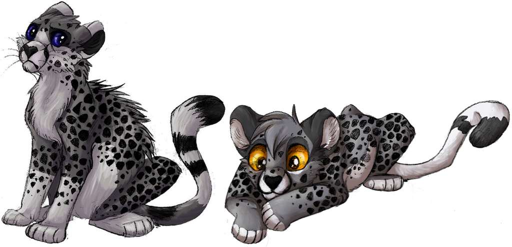 Cheetah Siblings