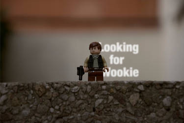 Looking for Wookie