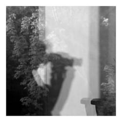 the Hidden Photographer