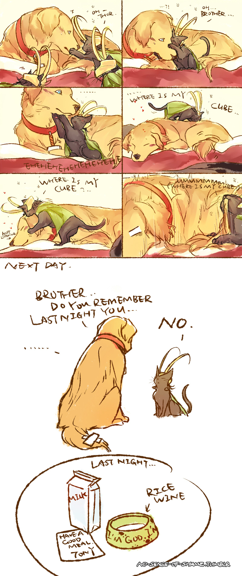 dog THOR cat LOKI 2