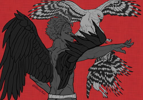 [C] Swift Like the Hawks