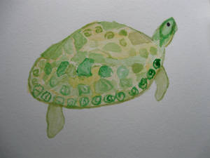 Turtle