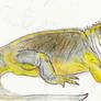 Galapagos Trip Sketches: Galapagos Land Iguana 2