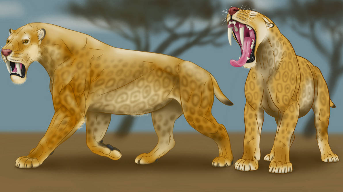 Smilodon Pair by DevinNath on DeviantArt