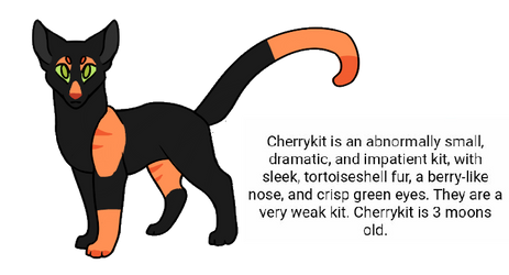 Cherrykit - Warrior Cat Generator Adoptable