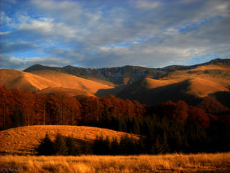 Colors of the autumn