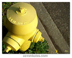 Hydrant