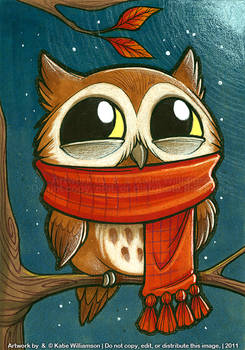 Tiny owl is PLEASED with scarf