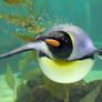 King Penguin 2